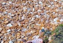 Best Single Shoe Captures in 5-7-5 Verse