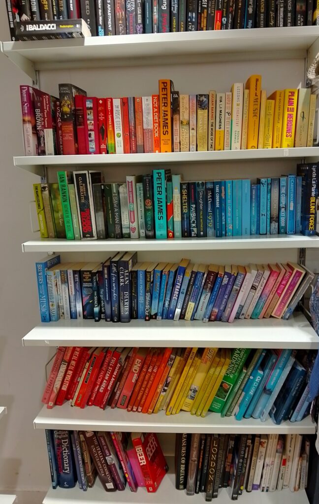 Books arranged by colour in a charity shop