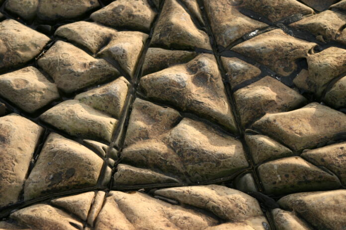 Kimmeridge rocks 2007 (1)