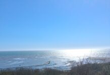 Lyme Regis: Rockpool Religion